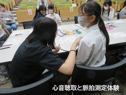 心音聴取と脈拍測定体験